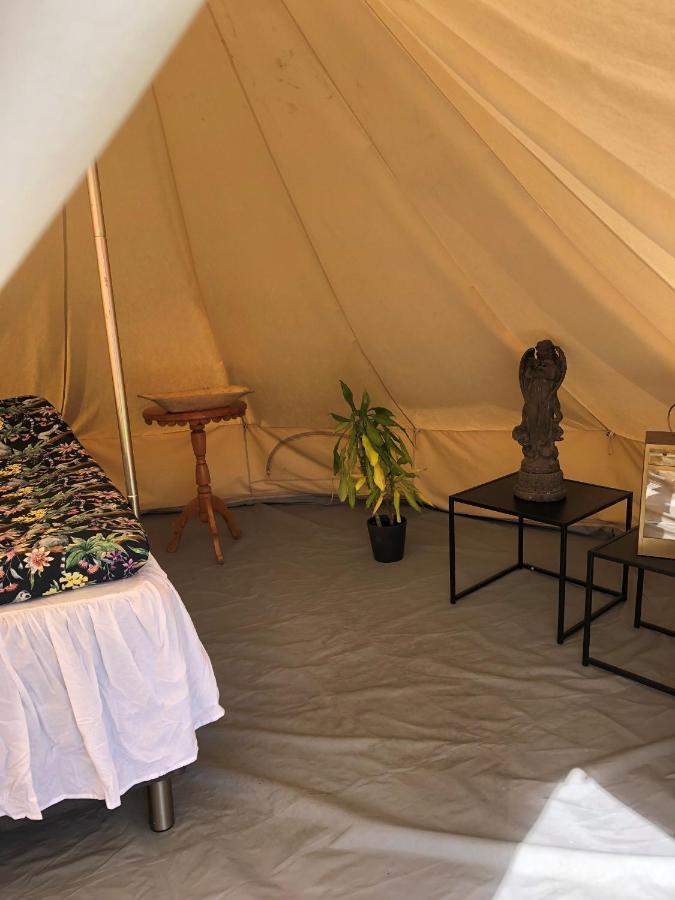 فندق Glampingtaelt تورسبي المظهر الخارجي الصورة