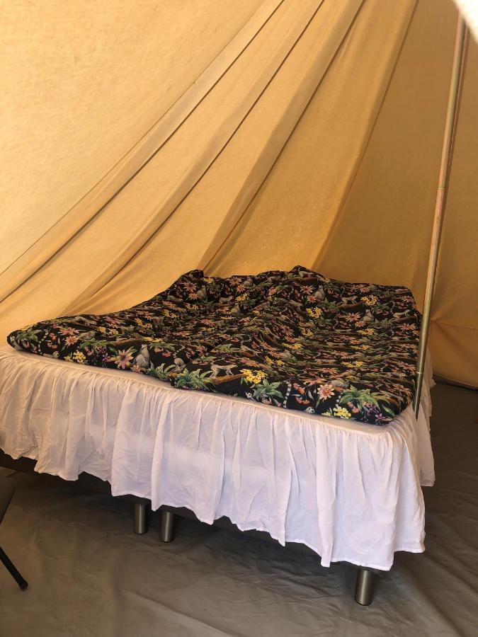 فندق Glampingtaelt تورسبي المظهر الخارجي الصورة
